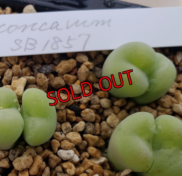 R5　9/25　撮影