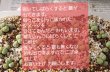 画像2:  Pageae H&B1195【24-11】