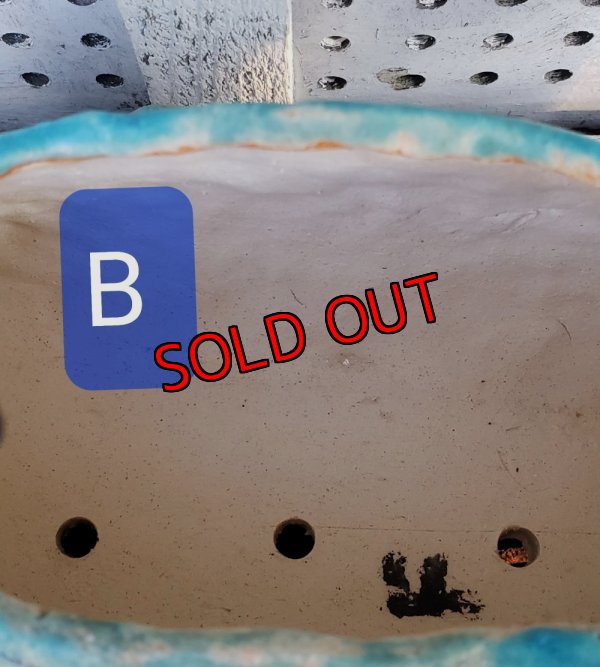 画像10: 再販/栃尾さんの陶器のクジラ鉢（24-12）