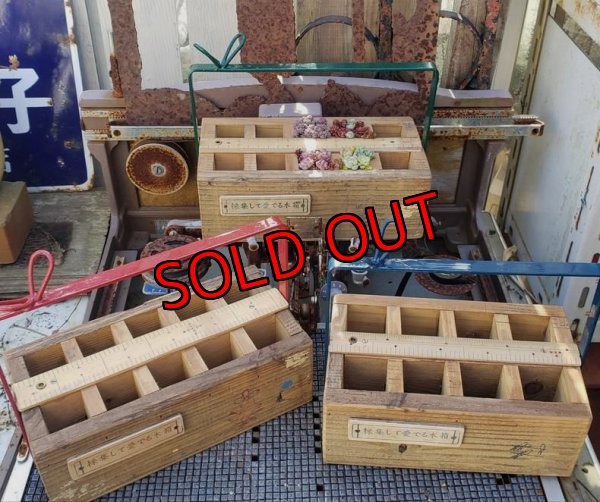 画像2: 【予約ページ】採集して愛でる木箱R-7WS（25-4）