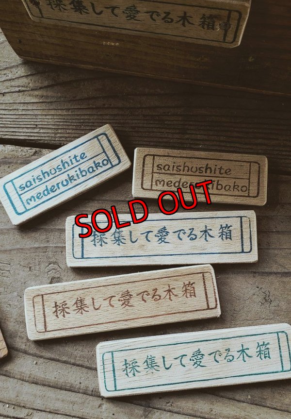 画像5: 【予約ページ】採集して愛でる木箱R-7WS（25-4）