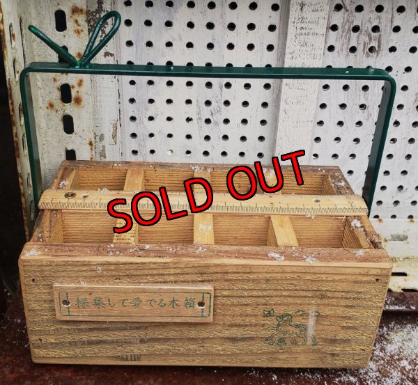 画像6: 【予約ページ】採集して愛でる木箱R-7WS（25-4）