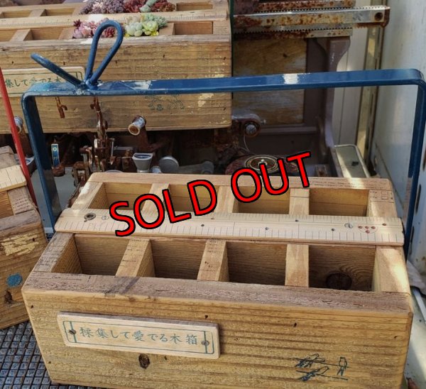 画像8: 【予約ページ】採集して愛でる木箱R-7WS（25-4）
