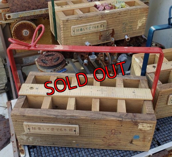 画像7: 【予約ページ】採集して愛でる木箱R-7WS（25-4）