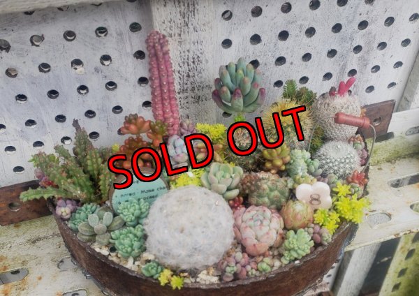 画像5: (1)WS/花とタイルと音楽と/掛け型   〜レコードプレーヤー〜（25-6）