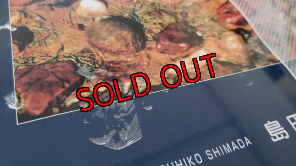 ブックカバーがPP（ポリプロピレン？）少し浮いています