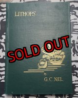 画像: Lithops~GC NEL〜書籍