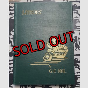 画像: Lithops~GC NEL〜書籍