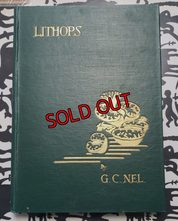 画像1: Lithops~GC NEL〜書籍