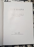 画像4: Lithops~GC NEL〜書籍