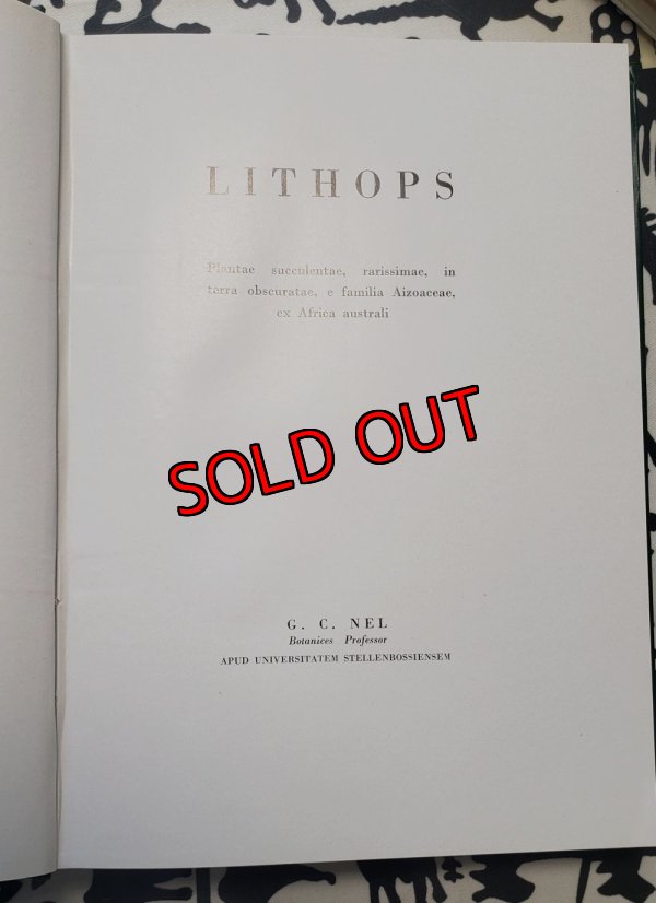 画像4: Lithops~GC NEL〜書籍