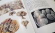 画像2: Lithops~GC NEL〜書籍