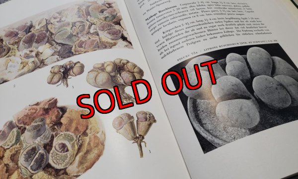 画像2: Lithops~GC NEL〜書籍