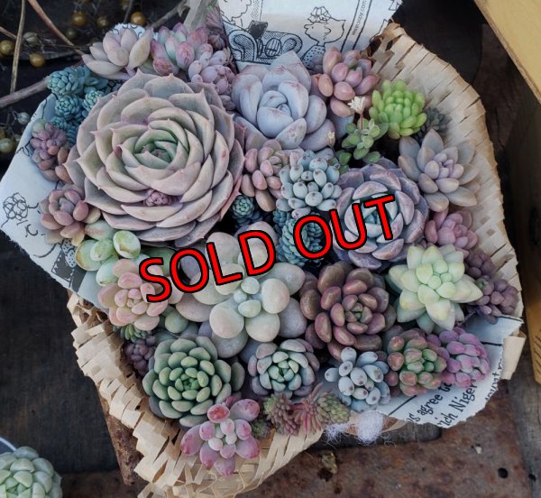 画像6: R8年4月19日/WS詳細ページ（26-3）