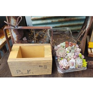 画像: 贈り物木箱/小+寄せ植えキット（26-5）
