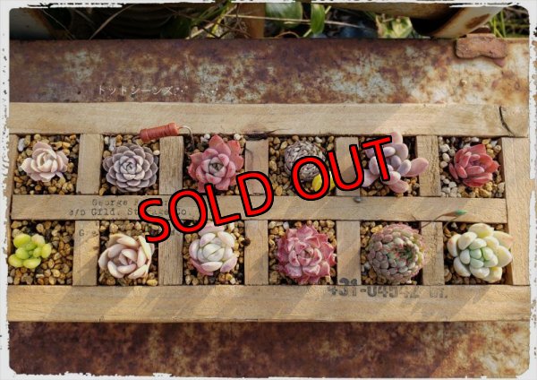 例）木箱に入れるとこんな感じになります。