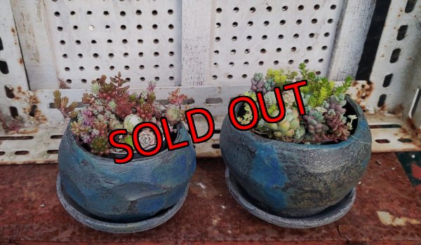 画像3: mentori/藍（23－7）