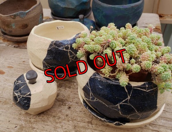 画像3: リンゴ/白紺（23－7）