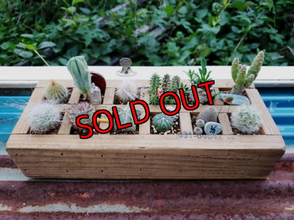 キットを使った寄せ植え参考例です。