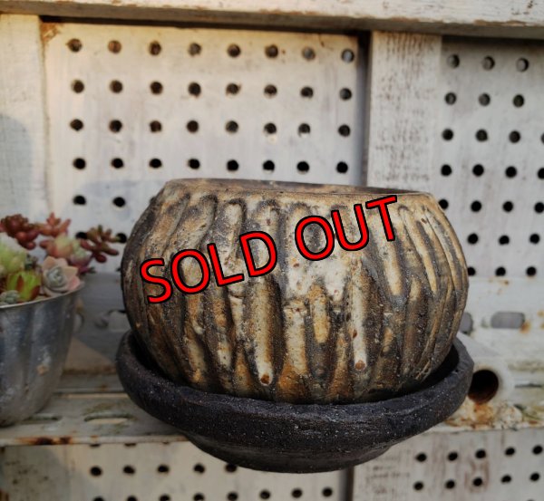 画像7: 縞-2（23－7）