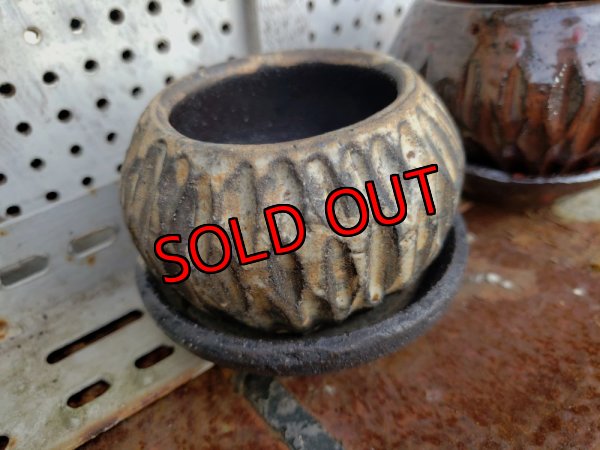 画像8: 縞-2（23－7）