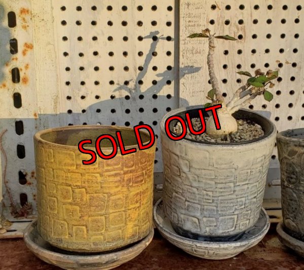 画像12: タイル-2（23－7）