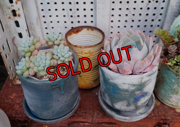 画像4: タイル-1（23－7）