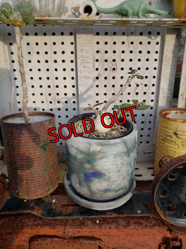 画像8: タイル-1（23－7）