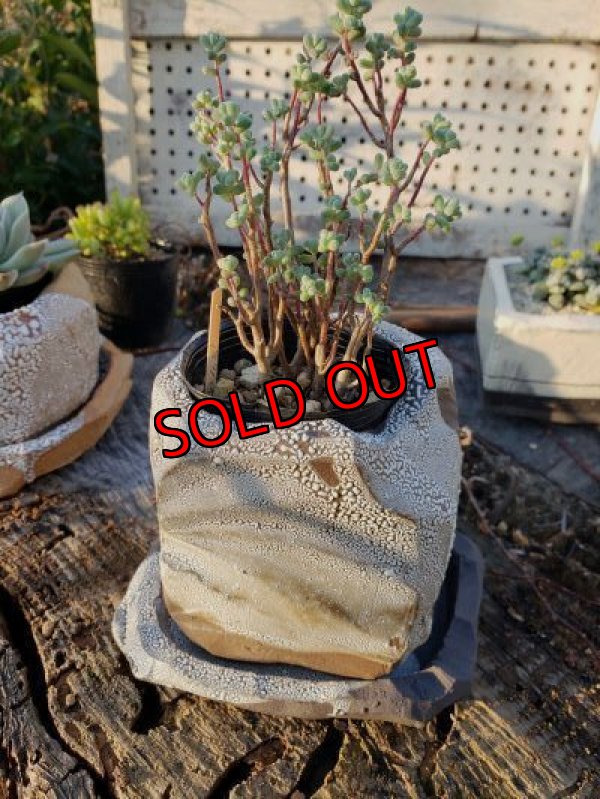 画像2: 栃尾さんの器/削り鉢（グレー系）〜中1（20-7）