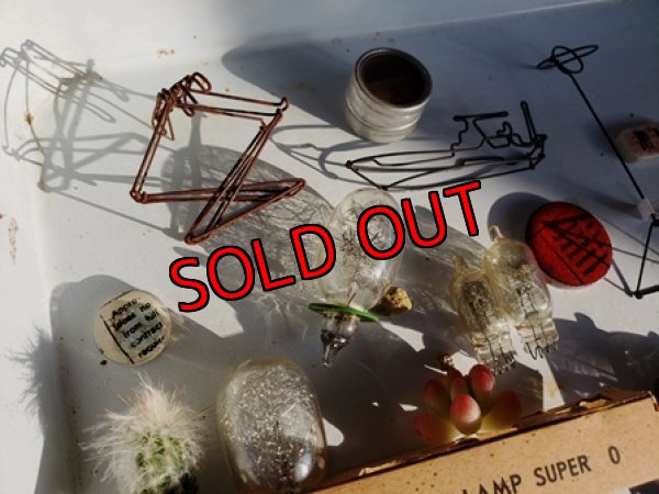 画像9: 小さな宇宙の作り方セット 2019