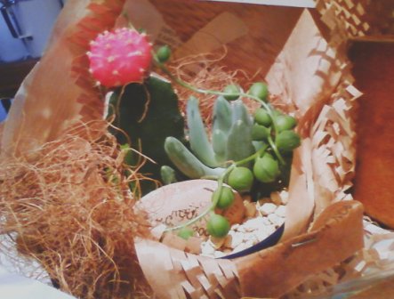 画像: お知らせ☆