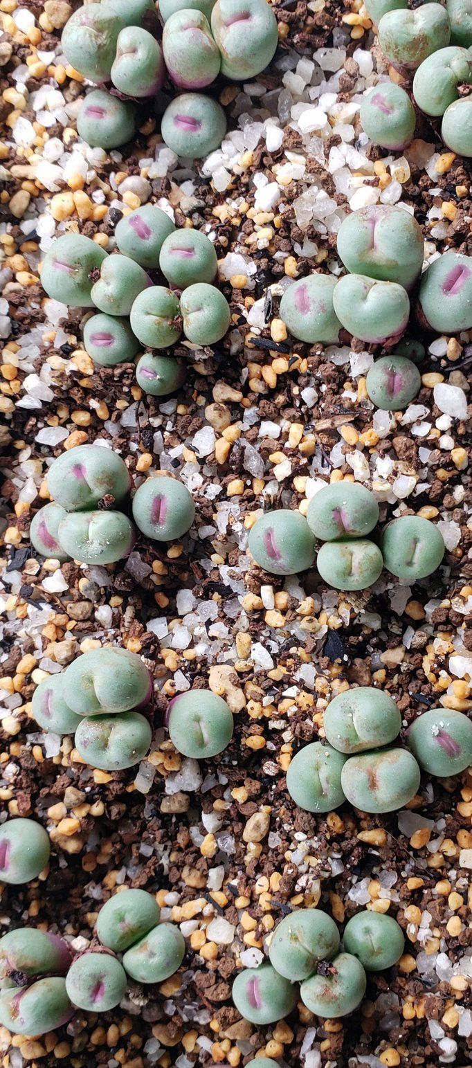 10/4本日の写真です