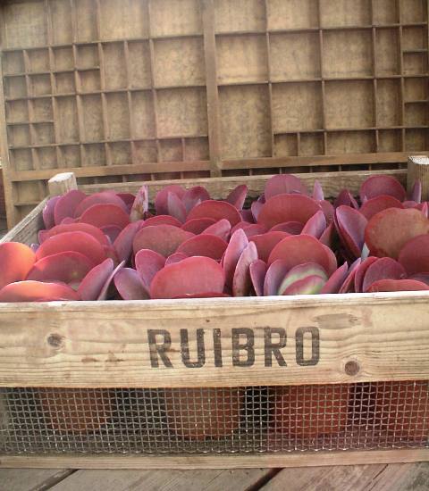 画像: オールド木箱