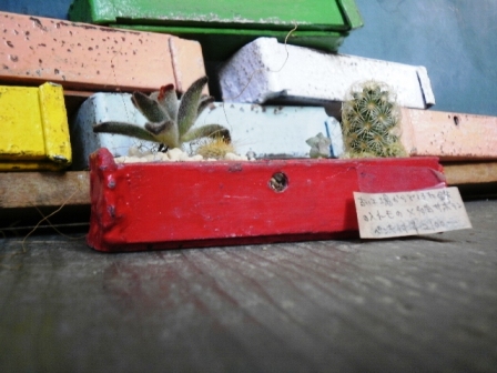 画像: 粘菌の住む小さな森×古い工場から出てきた鉄の入れもの