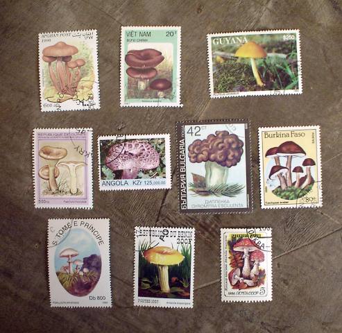画像: ドイツ　キューバ　チェコの切手シリーズ　きのこ 10枚セット