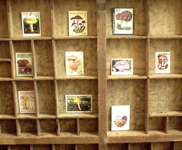 画像: ドイツ　キューバ　チェコの切手シリーズ　動物 10枚セット