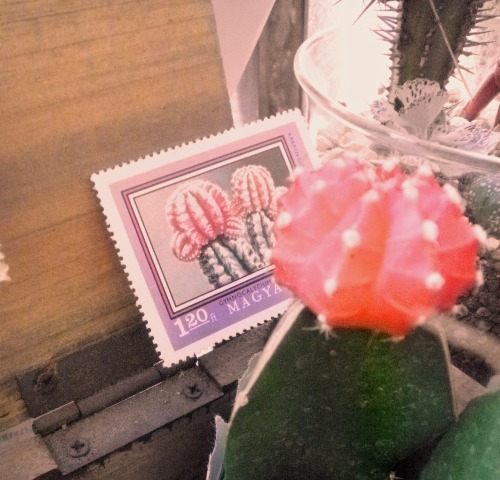画像: ドイツ　キューバ　チェコの切手シリーズ　サボテン 10枚セット
